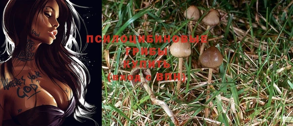 мескалин Аркадак